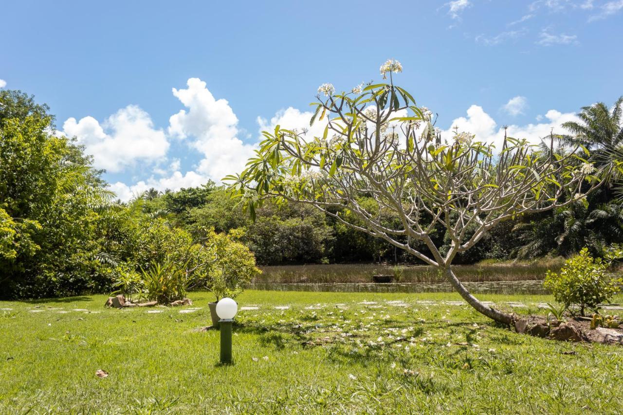 Bed & Breakfast Lagoa Da Pedra Imbassai